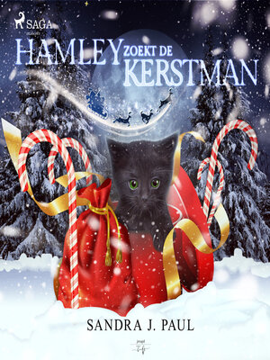 cover image of Hamley zoekt de kerstman